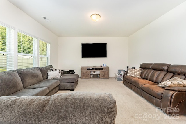 1691 Ashley Lynn Ct, Stanfield, NC 28163 - view of carpeted living room