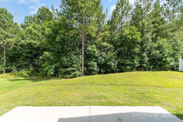 1691 Ashley Lynn Ct, Stanfield, NC 28163 - view of grassy yard