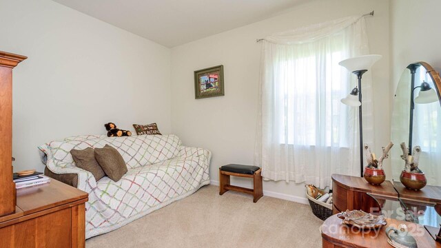 132 Half Moon Trl Unit A, Hendersonville, NC 28792 - photo 28