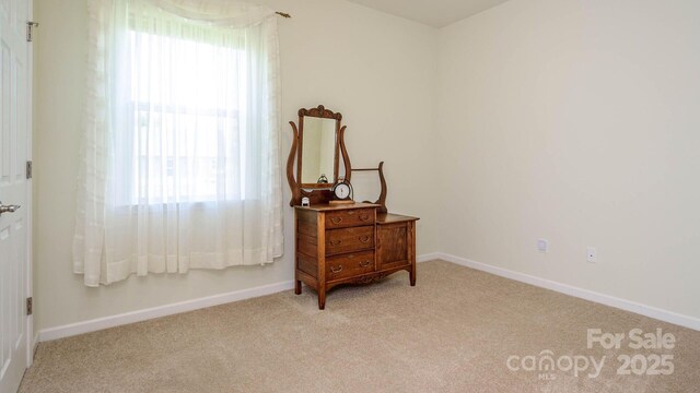 132 Half Moon Trl Unit A, Hendersonville, NC 28792 - photo 32