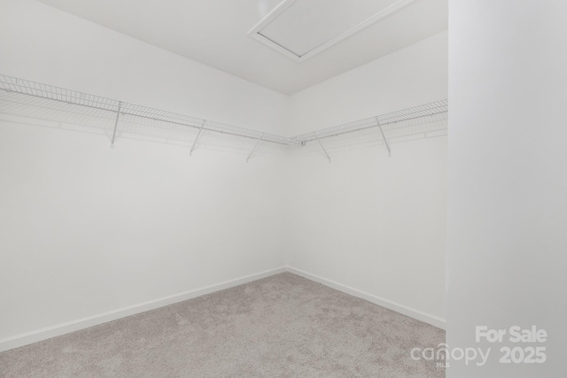 4060 Beacon Ave Unit 148, Monroe, NC 28110 - walk in closet featuring carpet