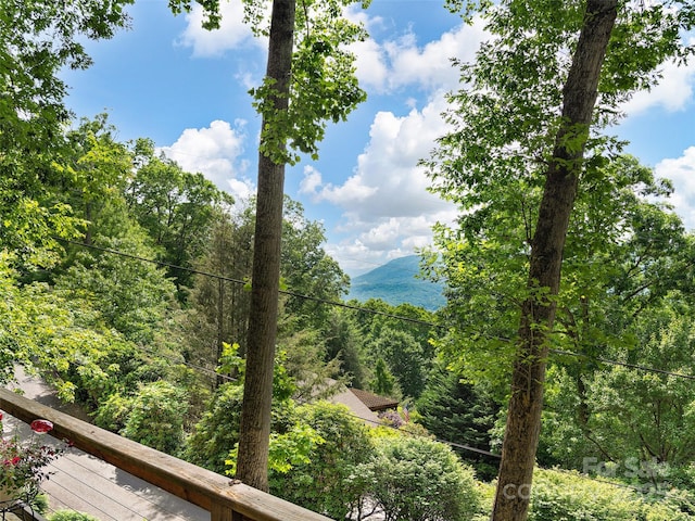 505 Scenic Cir, Waynesville, NC 28786 - mountain view with a forest