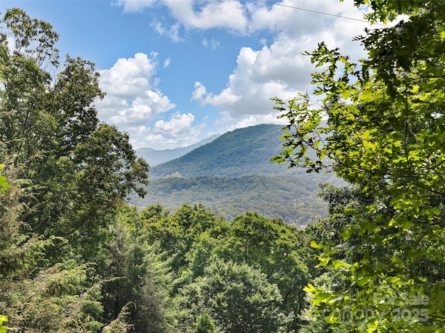 505 Scenic Cir, Waynesville, NC 28786 - mountain view
