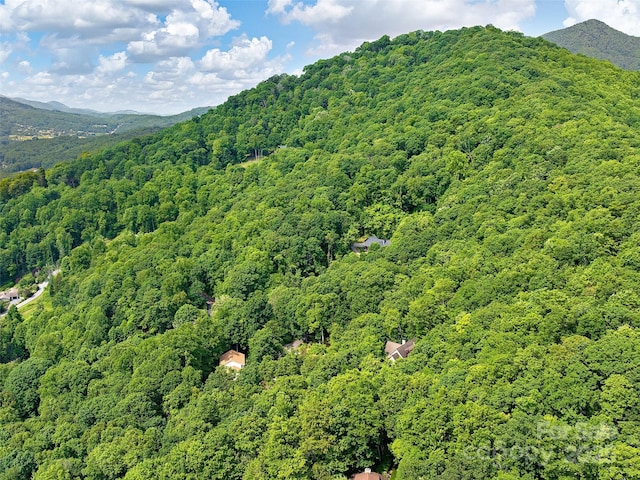 505 Scenic Cir, Waynesville, NC 28786 - view of mountain backdrop with a forest