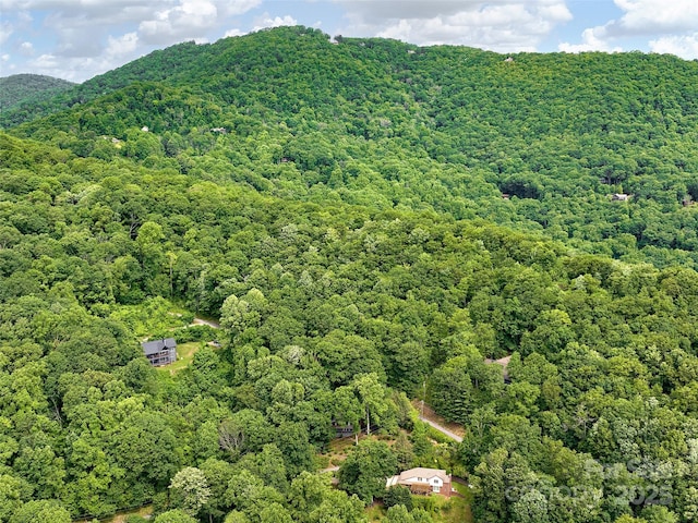 505 Scenic Cir, Waynesville, NC 28786 - view of mountain background with a heavily wooded area