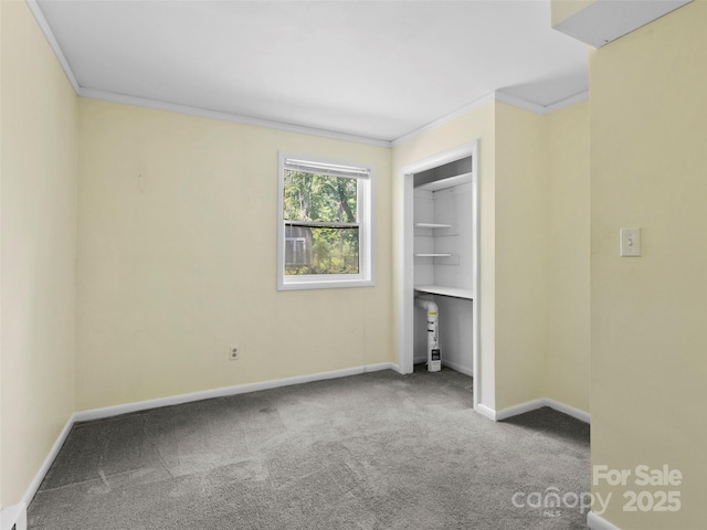 45 Avondale Heights Rd, Asheville, NC 28803 - unfurnished bedroom featuring carpet, crown molding, and a closet
