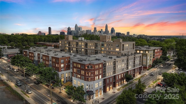 1315 E Blvd Unit 203, Charlotte, NC 28203 - view of city skyline