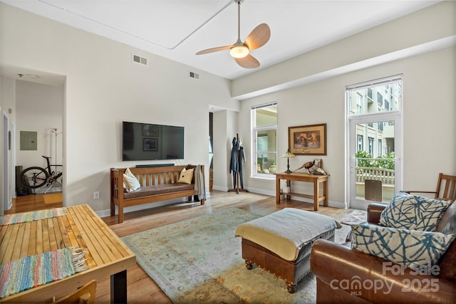 1315 E Blvd Unit 203, Charlotte, NC 28203 - living room featuring ceiling fan, wood finished floors, and electric panel