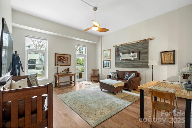 1315 E Blvd Unit 203, Charlotte, NC 28203 - living area with plenty of natural light, a ceiling fan, and wood finished floors
