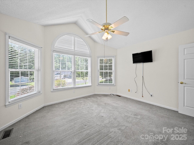179 Delwood Ct, Mount Gilead, NC 27371 - unfurnished room featuring vaulted ceiling, a ceiling fan, carpet flooring, and a textured ceiling
