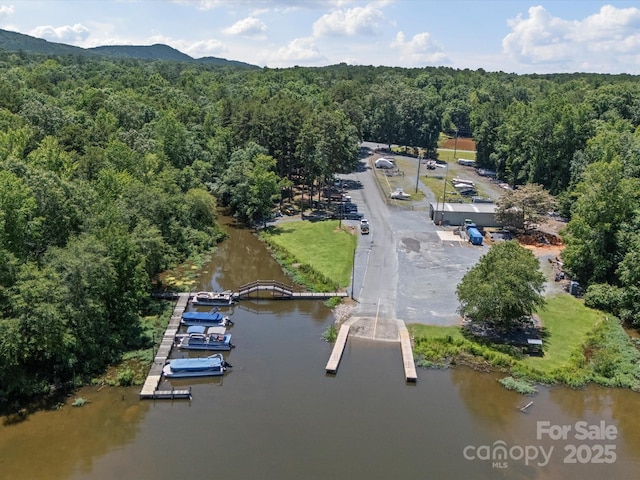179 Delwood Ct, Mount Gilead, NC 27371 - aerial view of a forest and a large body of water