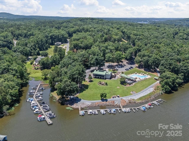 179 Delwood Ct, Mount Gilead, NC 27371 - bird's eye view of a forest and a nearby body of water