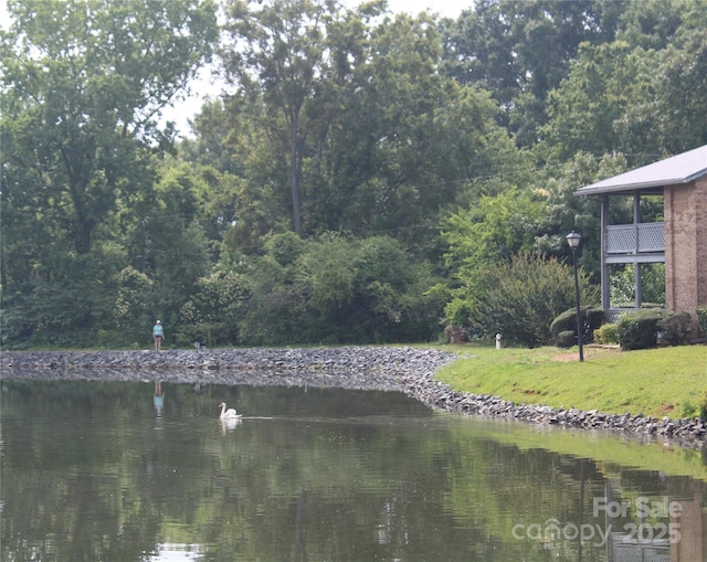 5864 Harris Grove Ln, Charlotte, NC 28212 - water view with a forest