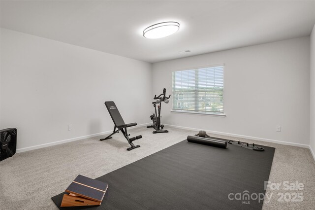 9529 Cotswood Pl, Gastonia, NC 28056 - exercise area with carpet floors