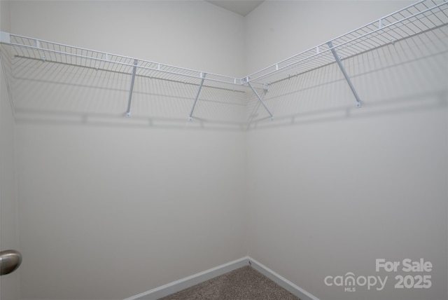 9529 Cotswood Pl, Gastonia, NC 28056 - spacious closet featuring carpet floors