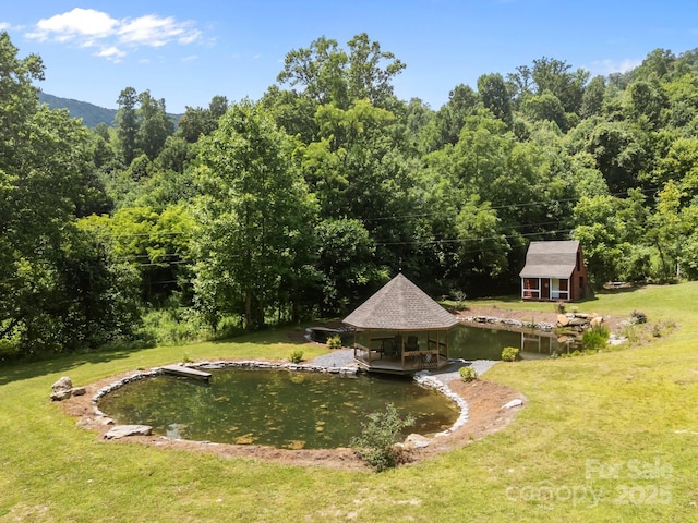 235 Kinder Ln, Canton, NC 28716 - photo 40
