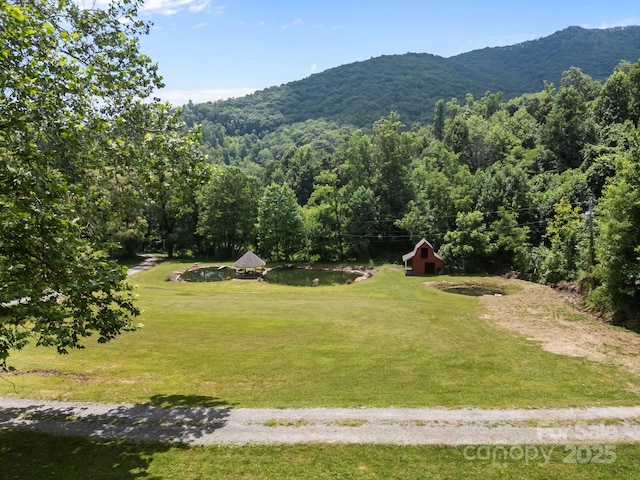 235 Kinder Ln, Canton, NC 28716 - photo 44