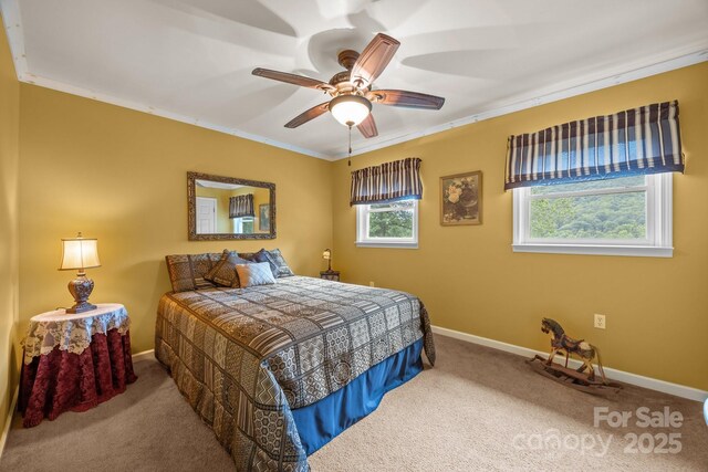 235 Kinder Ln, Canton, NC 28716 - photo 28