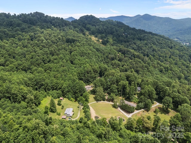 235 Kinder Ln, Canton, NC 28716 - photo 38