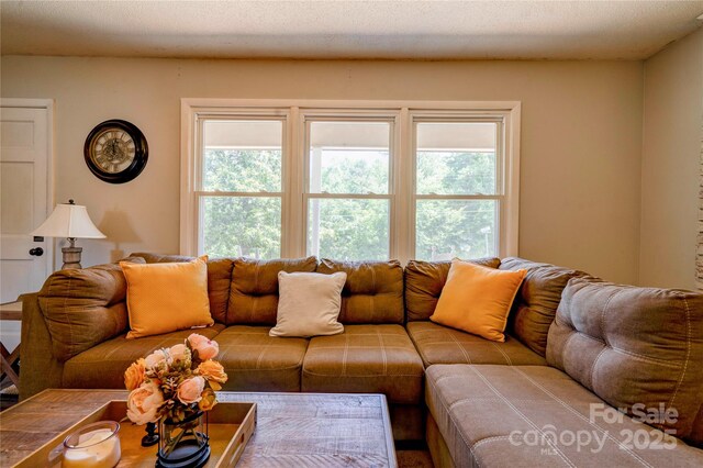 701 Mcswain Rd, Shelby, NC 28150 - photo 3