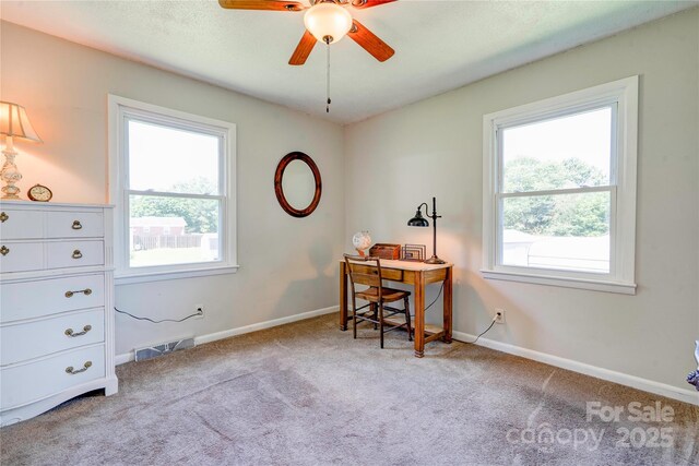701 Mcswain Rd, Shelby, NC 28150 - photo 24
