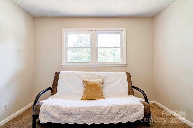 701 Mcswain Rd, Shelby, NC 28150 - photo 29