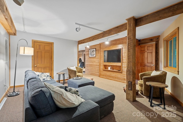 574 Locust Grove Dr, Waynesville, NC 28785 - carpeted living room with wood walls, rail lighting, and an accent wall