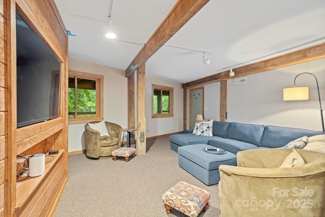 574 Locust Grove Dr, Waynesville, NC 28785 - living room featuring track lighting and carpet floors
