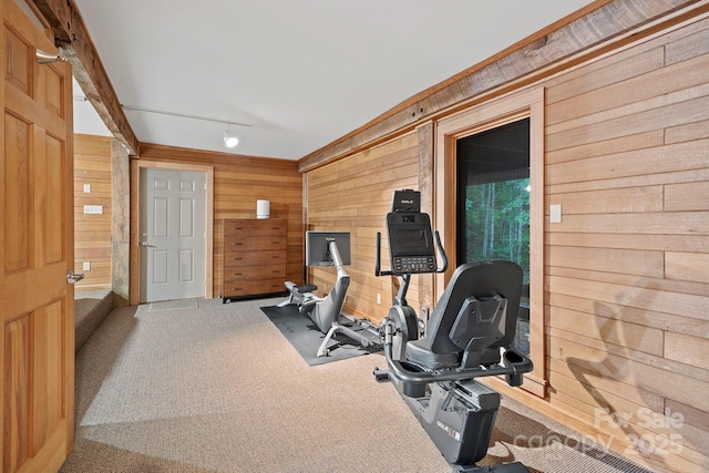 574 Locust Grove Dr, Waynesville, NC 28785 - exercise area featuring carpet flooring, wood walls, and rail lighting