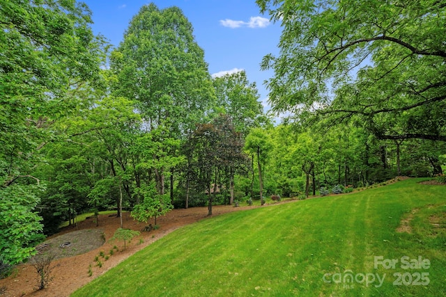 574 Locust Grove Dr, Waynesville, NC 28785 - view of grassy yard
