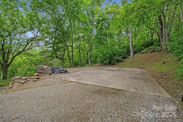 574 Locust Grove Dr, Waynesville, NC 28785 - view of yard with a patio area
