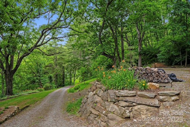574 Locust Grove Dr, Waynesville, NC 28785 - view of dirt / gravel road