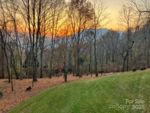 574 Locust Grove Dr, Waynesville, NC 28785 - photo 2