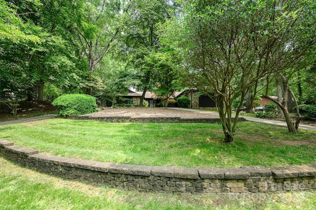 3041 Shallowood Ln, Charlotte, NC 28277 - view of green lawn