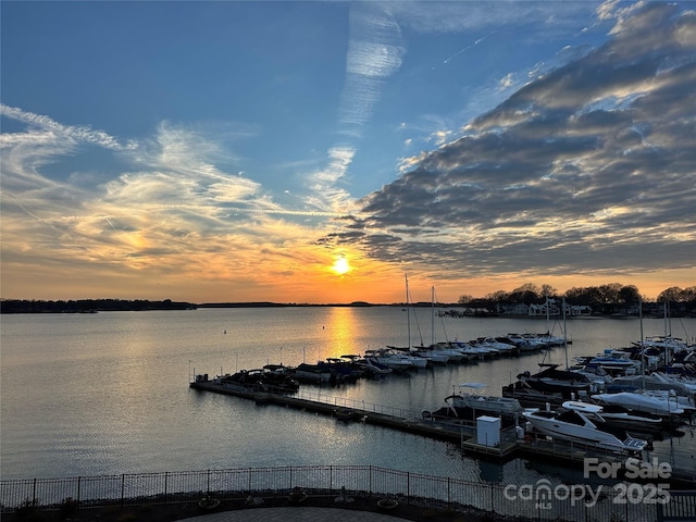 17931 Kings Point Dr Unit E, Cornelius, NC 28031 - water view with a dock