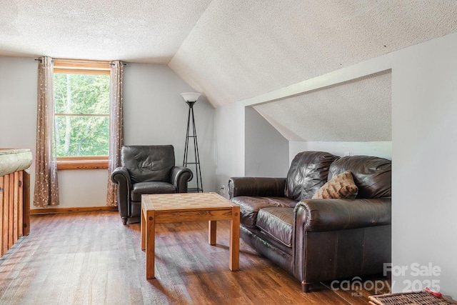 2266 Sugar Mountain Rd, Newland, NC 28657 - sitting room featuring a textured ceiling, wood finished floors, and lofted ceiling