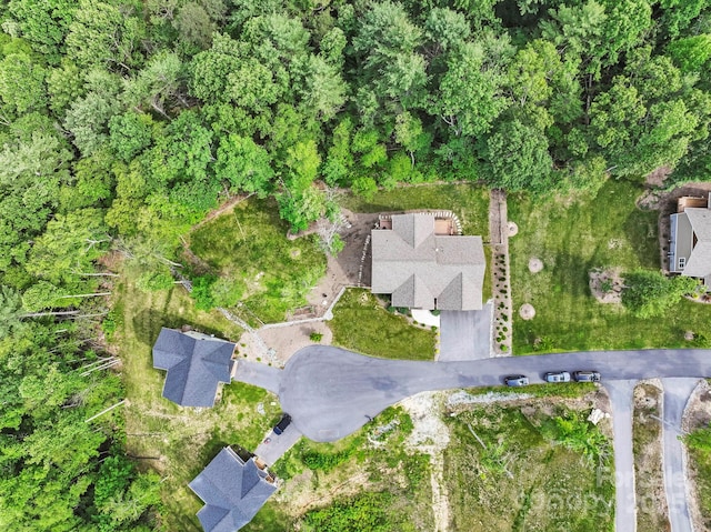 158 Jonathan Ln, Hendersonville, NC 28792 - photo 34
