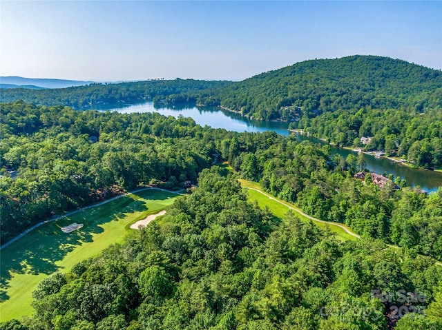 J34 Cherokee Pt Unit 34, Lake Toxaway, NC 28747