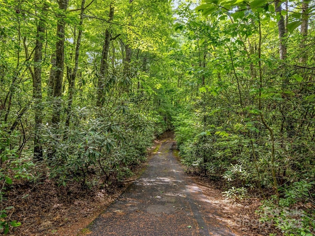 J34 Cherokee Pt Unit 34, Lake Toxaway, NC 28747