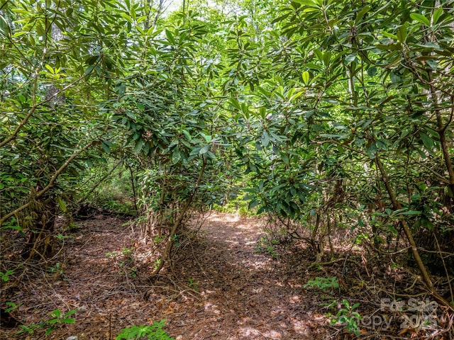 J34 Cherokee Pt Unit 34, Lake Toxaway, NC 28747