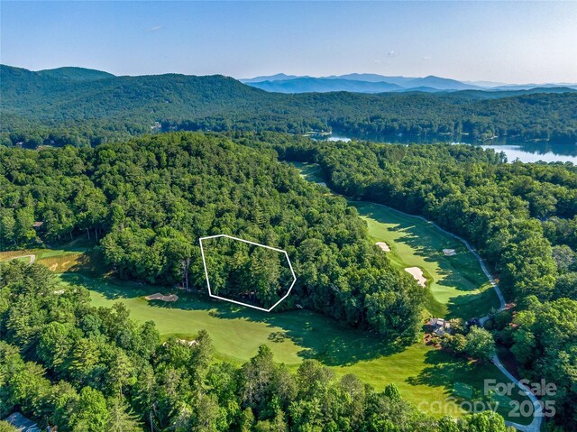 J35 Cherokee Pt Unit 35, Lake Toxaway, NC 28747