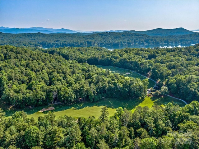 J35 Cherokee Pt Unit 35, Lake Toxaway, NC 28747