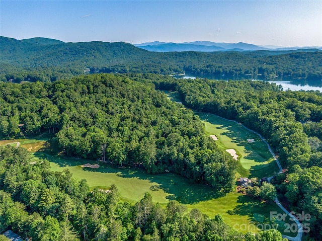J35 Cherokee Pt Unit 35, Lake Toxaway, NC 28747