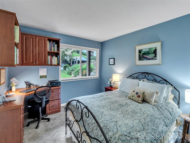 87 Willow Rd Unit D-4, Waynesville, NC 28786 - bedroom featuring light carpet, a desk, and a textured ceiling