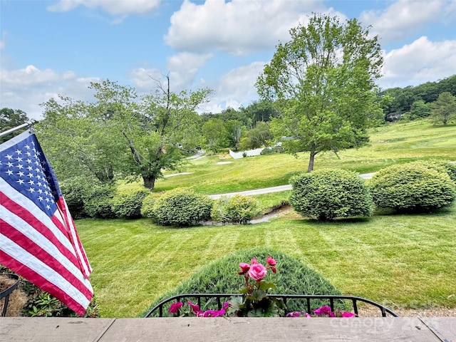 87 Willow Rd Unit D-4, Waynesville, NC 28786 - view of grassy yard