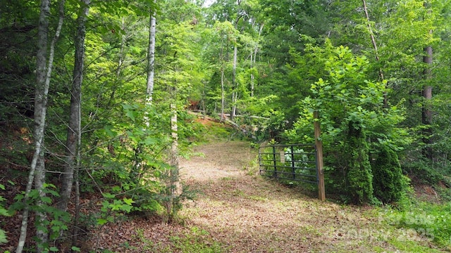 00 Justice Dr Unit 16, Lake Lure, NC 28746