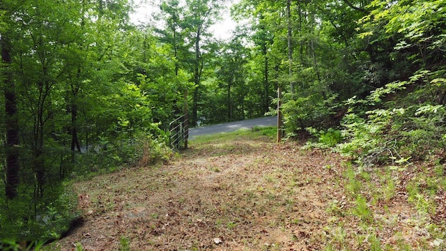 00 Justice Dr Unit 16, Lake Lure, NC 28746