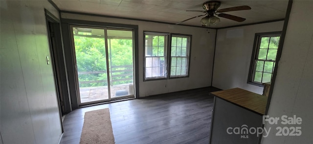 127 Hibriten Mountain Rd, Lenoir, NC 28645 - unfurnished room featuring healthy amount of natural light, dark wood-style flooring, and a ceiling fan