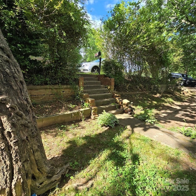 127 Hibriten Mountain Rd, Lenoir, NC 28645 - view of yard