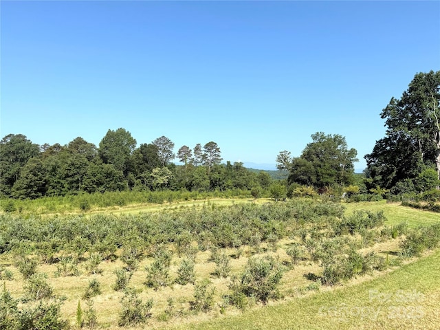 5188 Dysartsville Rd, Morganton, NC 28655 - view of local wilderness